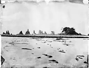 Intrusive Prints: Rocks, Kushimoto, Japan