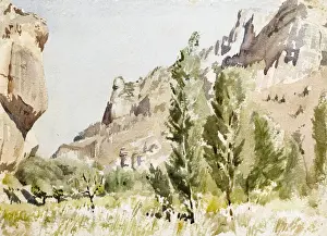 Rocky landscape with trees and grass