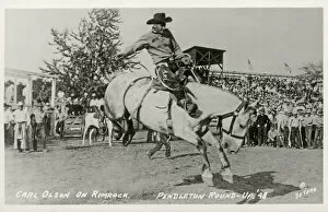 Images Dated 17th July 2019: Rodeo - Carl Olson on Rimrock - Pendleton Round-up