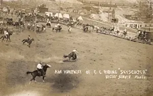Bucking Prints: Rodeo at Victor, Colorado, USA