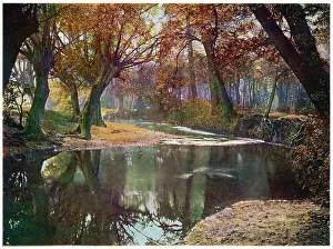 The Roding at Wanstead
