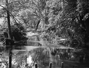 The Roding at Wanstead
