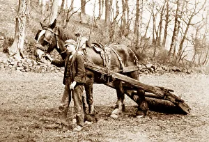 Rolling land with horse