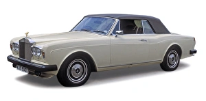 Royce Gallery: Rolls Royce Corniche 1981 Convertible