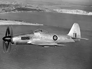 The Rolls-Royce Eagle-powered Westland Wyvern TF1