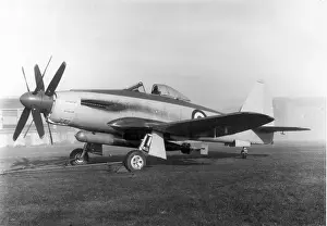 Wyvern Prints: The Rolls Royce Eagle-powered Westland Wyvern TF1