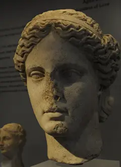 Roman Art. Aphrodite. Goddess of love and beauty. Bust. Ny C