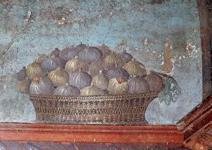 Campania Collection: Roman art. Italy. Fresco. Basket of figs. 1st century AD. Op