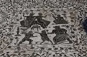 Images Dated 5th April 2009: Roman Art. Italy. House of Bacchus and Ariadne. Floor mosaic