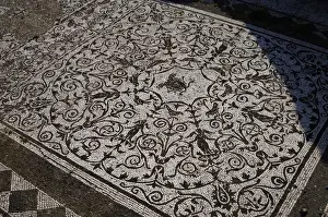 Roman Art. Italy. House of Bacchus and Ariadne. Floor mosaic