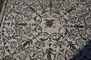 Roman Art. Italy. House of Bacchus and Ariadne. Floor mosaic