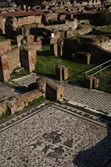 Tessera Prints: Roman Art. Italy. Ostia Antica. House of Bacchus and Ariadne