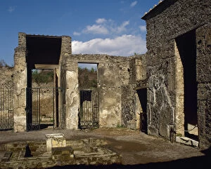 Roman art. Italy. Pompeii. House of Octavius Quartio Atrium