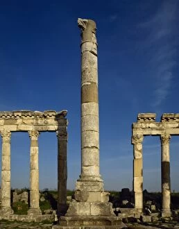 Remain Gallery: Roman Art. Syria. Apamea. Monumental Column and Colonnade