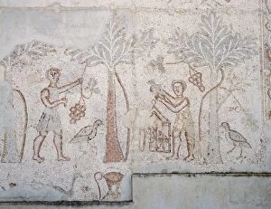 Agriculturalist Gallery: Roman Art. Syria. Farming. Collecting dates. Mosaic. Theatre