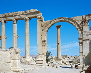 Architectonic Gallery: Roman art. Syria. Palmyra. Decumanus (avenue). Ruins. 3rd c