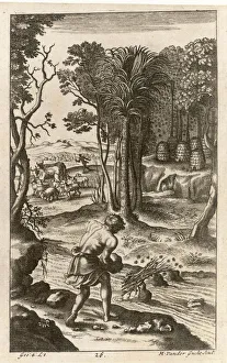 Roman Beekeeping/Virgil