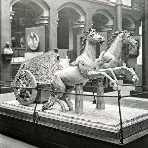 Roman Chariot Race