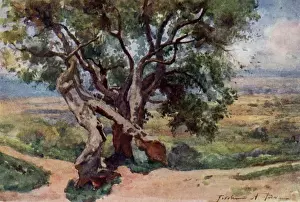 Roman Campagna, Lazio, Italy