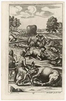 Plague Prints: ROMAN CATTLE STRICKEN