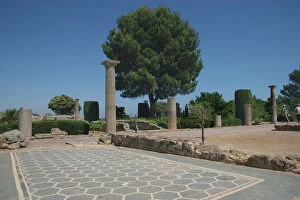 Ampurias Gallery: Roman city of Ampurias. Mosaic. Catalonia. Spain