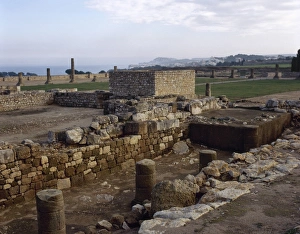 Ampurias Gallery: Roman city of Empuries. Spain