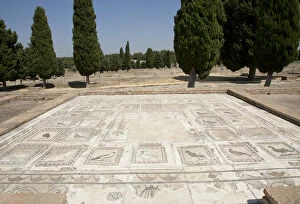 Andalusian Collection: Roman city of Italica. House of the Birds. Mosaic. Spain