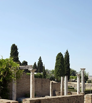 Images Dated 29th June 2006: Roman city of Italica. House of the Birds. Spain