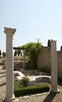 Andalusian Collection: Roman city of Italica. House of the Birds. Spain