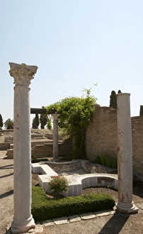 Cornelius Gallery: Roman city of Italica. House of the Birds. Spain