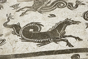 Cornelius Gallery: Roman city of Italica. House of Neptune. Spain