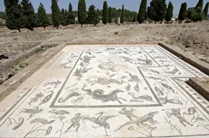 Roman city of Italica. House of Neptune. Spain