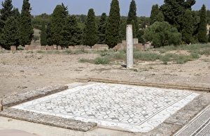 Cornelius Gallery: Roman city of Italica. Mosaic at the Domus of Neptune. Spain