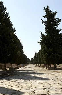 Cornelius Gallery: Roman city of Italica. Spain
