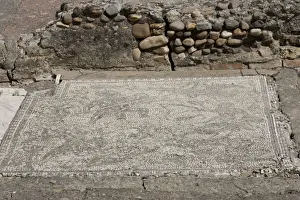 Roman city of Italica. Spain