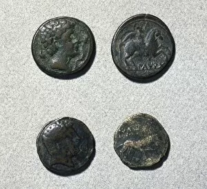Mint Collection: Roman coin. Asses. Bronze. 1st century BC. Mint of Iltirda