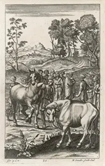 Roman Farmers / Livestock