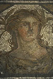 Roman floor mosaic. Antonine Period. Alemdar (Istanbul)