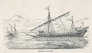 Oars Prints: Roman Galley