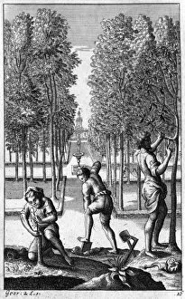 Images Dated 17th May 2012: Roman Gardeners / Virgil