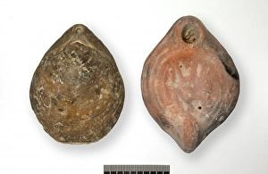Tertiary Period Gallery: Roman lamp and fossil brachiopod