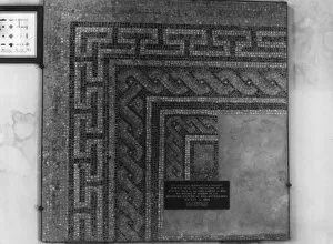 Images Dated 14th April 2011: Roman Mosaic