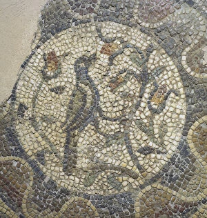 Albacete Gallery: Roman mosaic. Bird. Spain