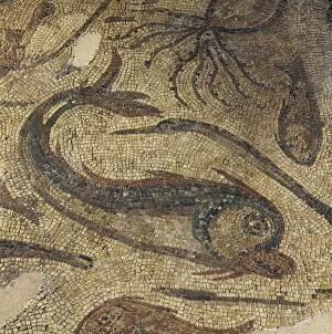 Roman mosaic. Fish and octopus. Spain