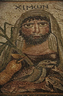 Peloponnese Collection: Roman Mosaic floor. Argos. Greece