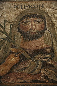 Month Collection: Roman Mosaic floor. Argos. Greece