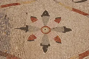 Tessera Prints: Roman mosaic. Floral decoration. Ostia Antica. Italy