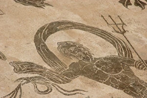 Latium Collection: Roman mosaic. Neptune riding a chariot. Ostia Antica. Italy