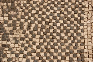 Images Dated 14th August 2005: Roman mosaic. Ostia Antica. Italy