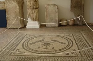 Roman mosaic. Pula. Croatia